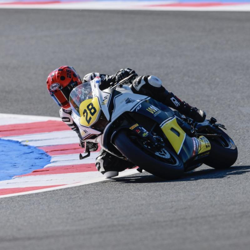  3m 7843action Dimensioni Grandi