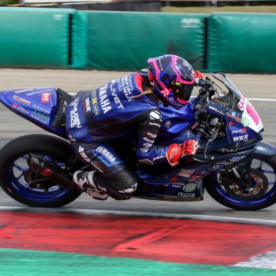 Mauro Stanzani 35521